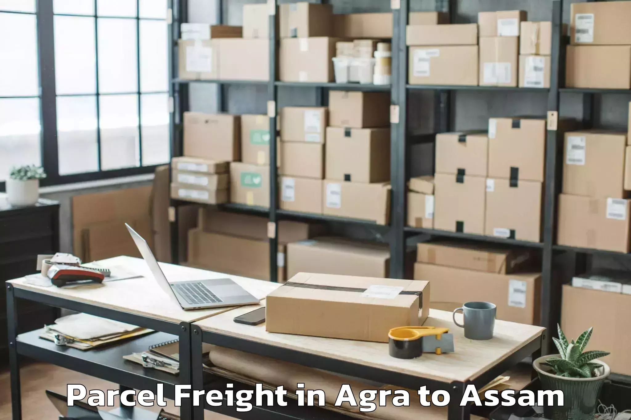 Reliable Agra to Chaparmukh Parcel Freight